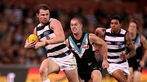 Geelong vs port adelaide combo bet tips. Match Preview Port Adelaide V Geelong