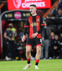 Bournemouth Echo - News update