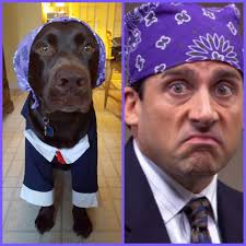 I'm prison Mike! You know why they call me prison Mike?!" 😂 Found this  while reading to my child. Name of book is "Snow Dude".