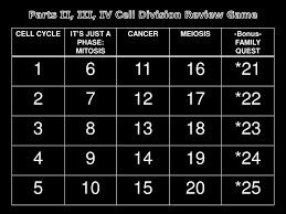 These regions of growth are good for studying the cell cycle because at any given time, you can find cells that are undergoing mitosis. Mitosis Meiosis Cancer Ppt Download