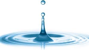 Water drop wallpaper and fish. Dripping Water Free Stock Photos Download 11 454 Free Stock Photos For Commercial Use Format Hd High Resolution Jpg Images