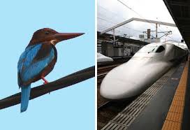 Animal Biomimicry Kingfisher Bullet Train Nature Inspiration Biomimicry Examples Bionic Design