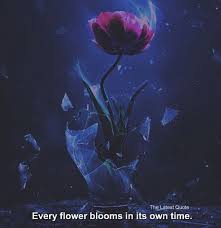Every Flower Blooms In Its Own Time By Mermaidblissing Thelatestquote