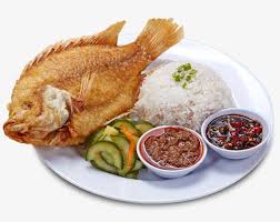 Collation De Farine De Poisson Clipart Poisson Aliments Fast Food Fichier Png Et Psd Pour Le Telechargement Libre Farine De Poisson Alimentation Recette Poisson