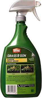 Check spelling or type a new query. Ortho 0438580 Grass B Gon Garden Grass Killer Ready To Use 24 Ounce Buy Online In Cook Islands At Cook Desertcart Com Productid 2441886