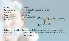 Image result for Dopamine