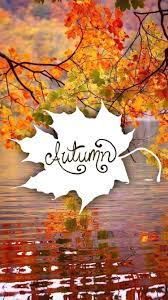 Downloaded From Girly Wallpapers Http Itunes Apple Com App Id1108375300 Thousands Of Hd Girly Wallpaper Fall Wallpaper Desktop Wallpaper Fall Fall Pictures