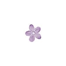 Edited By Sammy Teal Flowers Flowers Flower Graphic Design
