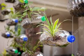 In green, blue or white (depending on craft) paint brush Empty Plastic Bottles Use As A Container For Growing Plant Recycling Green Concept Horizontal Composition Stock Photo Picture And Royalty Free Image Image 58108015