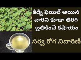 Pin On Healthy Recipes