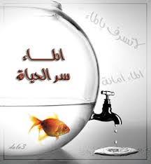 الماء هو سر الحياة احترس عبارات عن ترشيد الماء كلام في كلام