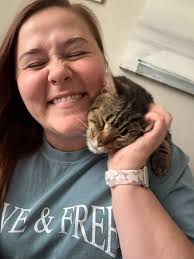 Has anyone seen a yellow tabby wearing a collar in the Springhill area?