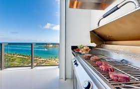 the best high end grills for outdoor