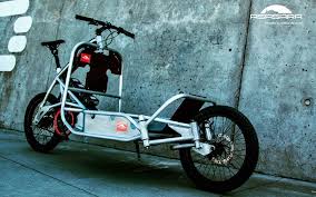 Raw 6061 Aluminium Polished With Wax Lastenfahrrad Fahrrad Dreirad