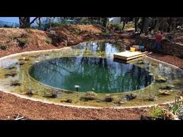 Natural garden pond design in a conventional backyard pond design, algae levels are controlled by adding chemicals and using a mechanical filter and a circulating pump that cost up to several. Diy Organic Pool Vs Commercial Installation Youtube
