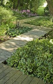 Allee De Foret Jardins En Bois Amenagement Jardin Allee De Jardin