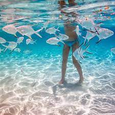 All orders are custom made and most ship worldwide within 24 hours. 8tracks Radio Summer Aesthetic 13 Songs Free And Music Playlist