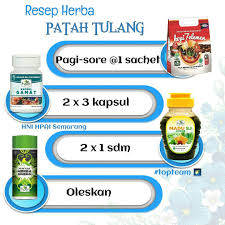 Resep Herba Patah Tulang Herba Obat Alami Resep