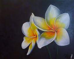 Plumeria Painting Flower Painting Acrylic Painting Flowers Watercolor Flowers
