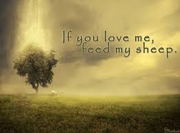 John 21 15 17 If You Love Me Feed My Sheep Feed My Sheep Jesus Heals The Good Shepherd