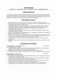 Sales Resume Objective Examples Unique Resume Objective For Sales Executive Resume Objective Sample Resume Objective Examples Resume Objective Statement