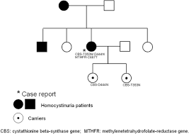 Image result for Homocystinuria