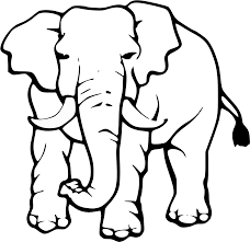 The pages have scrunchy plastic inside to give an intriguing sound when turned. Attractive Ideas Elephant Clipart Color Pages Baby Elephant Drawing Black And White Png Download Full Size Clipart 1030 Pinclipart