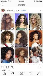 Medium curly styles can be adorned with accessories that will bring. Curly Hair Type Chart Hair Type Chart Hair Type Curly Hair Types