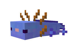 The blue axolotl is a super rare variant with a 1 in 1200 chance of appearing as a mutation. Axolotls Minecraft Pe Addon 1 16
