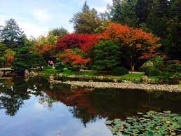 Photo Of Seattle Japanese Garden Seattle Japanese Garden Japanese Garden Japanese Garden Plants