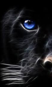 Black Panther Wallpaper Puzzle 6 Animal Wallpaper Cats Animals