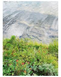 Margo Conner (@whirrclickthunk) • Instagram photos and videos