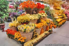 Check spelling or type a new query. About Our Company Silk Flowers And Glass Vases At Very Low Prices Shop Now
