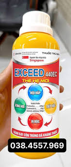 Exceed 440EC
