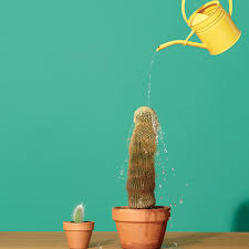 The tighter you hold on, the more it's going to hurt. in a story that happens way too often, a guy… she feels like the earth has just opened underneath her. Huge News The Penis Implant Is Here Gq