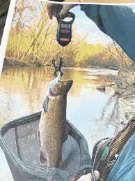 You can play tiny fishing unblocked on our cool math games website. Local Fisherman Catches Big Brook Trout Mt Airy News