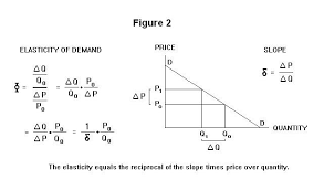 Elasticity Total Revenue And Marginal Revenue