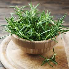 Fumakilla lingkaran nyamuk/penghalau nyamuk 10pcs quantity. Tahukah Anda Terdapat 6 Pokok Yang Nyamuk Tidak Suka Jom Baca Myinformasi