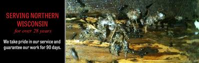 Call today or click schedule an inspection. Pest Control In Northern Wisconsin Abc Exterminating Inc
