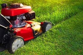 Winter weeds may be able to spread easily through zoysia grass. How To Care For Zoysia Grass