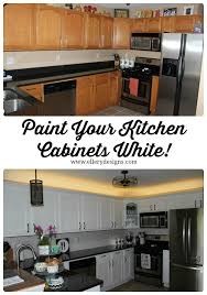 Our Diy Kitchen Remodel Painting Your Cabinets White Kitchen White Kitchen Cabinets Kitchen Cabinet Design Diy Kitchen Remodel