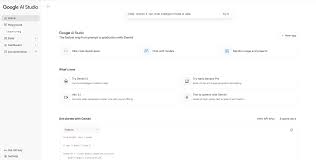 Google AI Studio超详细页面介绍_ai studio google-CSDN博客