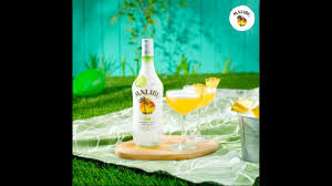 Sprinkle cloves or cinnamon on top, and serve; How To Mix Malibu Lime Pineapple Martini Youtube