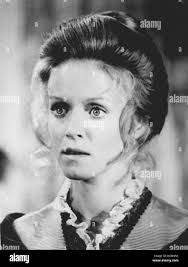 Donna Stankowski's Instagram, Twitter & Facebook