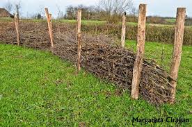 Völlig fehl am platz wäre hier ein zaun aus kunststoff. Gefullter Totholzzaun Nach Art Des Hauses Wildbienenschutz Im Naturgarten