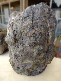 It acquires a sweet, earthy scent as it ages, commonly likened to the. Unbezahlbare Pottwal Ausscheidungen Pottwale