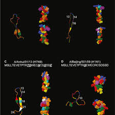 A team of eight experts from the who regional office for africa in brazzaville is leaving soon. The 3d Structure Prediction Of The M2e Structures Of H5n1 And H7n9 Download Scientific Diagram
