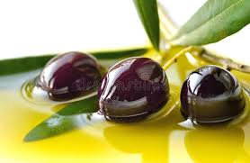 Botanical Garden Orchid Plants Botanical Garden Tropical Orchid Plants Flower Sponsored Orchid Plants Botanical Gard In 2020 Olive Oils Organic Olive Oil
