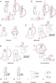 Range Of Motion Exercise Occupational Therapy Assistant Stroke Therapy Occupational Therapist