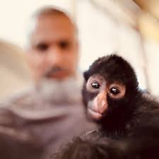 Mahyad Tousi and Reza Aslan are old friends.